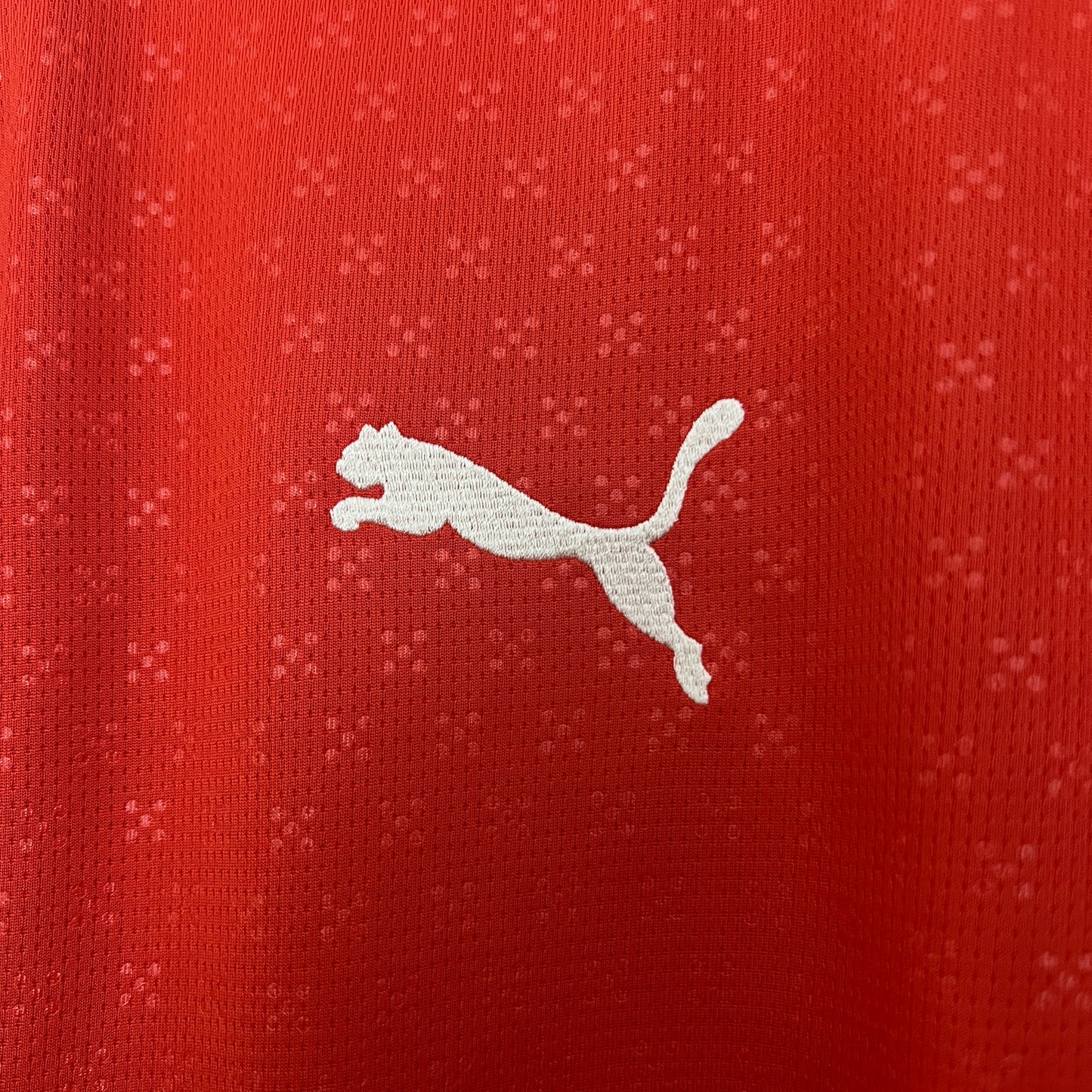 Portugal 2025 home. Us fan
