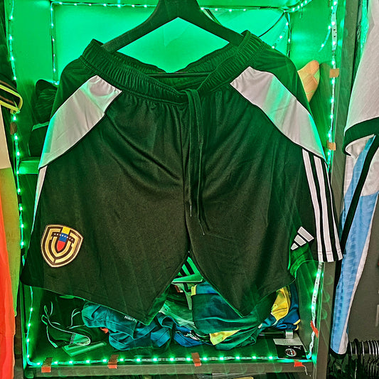 Venezuela 2025 short us