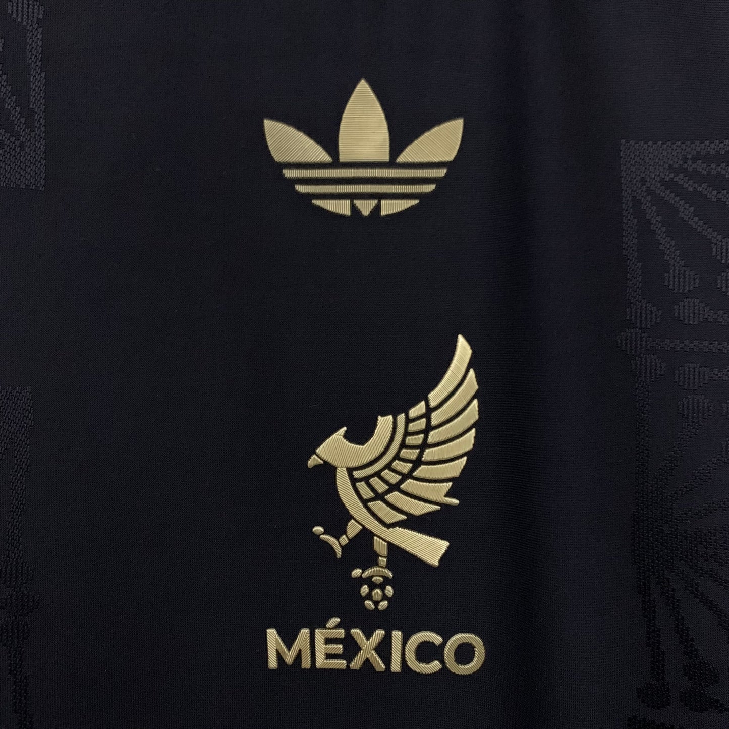 Mexico Mariachi Fan y player us 2025