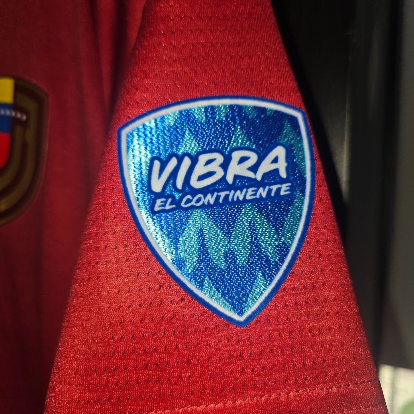 Venezuela 2024 copa america Arlington us