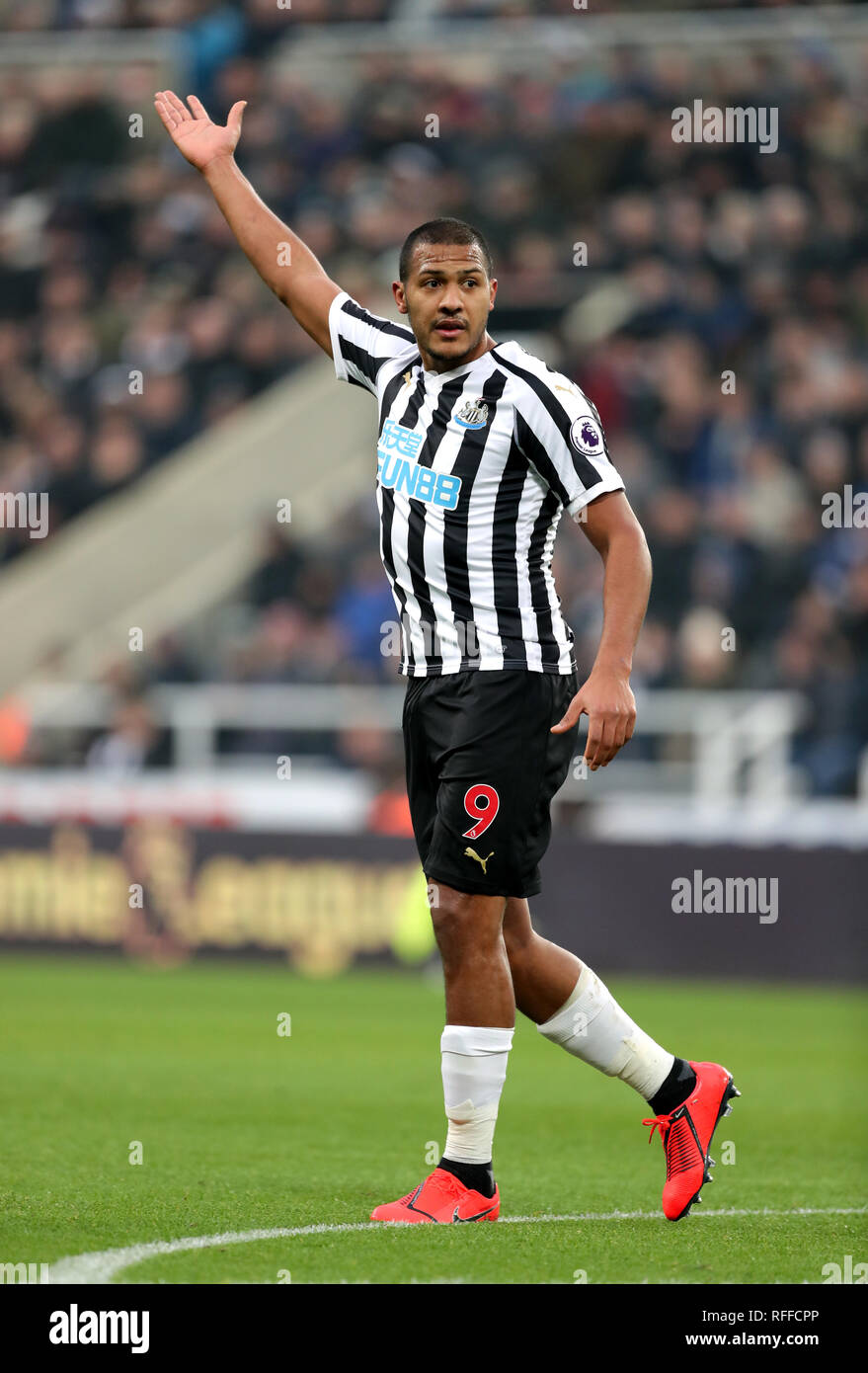 New Castle Rondon Remake us Home