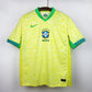 Brasil 24 player , fan used