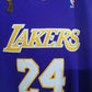 Lakers 2008 2009 Finals used