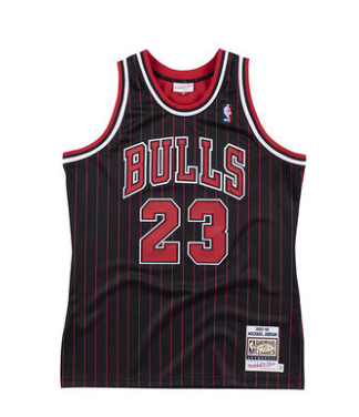 Chicago Bulls Black Finales 95 96 used