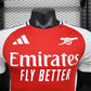 Arsenal 24 home