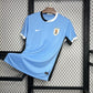 Uruguay home 24 used