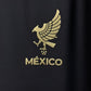 Mexico Mariachi Fan y player us 2025
