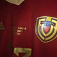 Venezuela 2024 copa america Arlington us