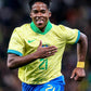 Brasil 24 player , fan used